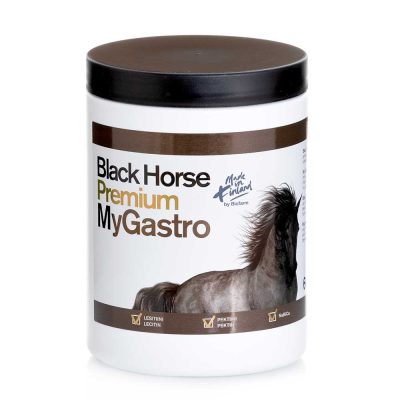 Black Horse Premium MyGastro, 600g storlek - Pektiner för hästar