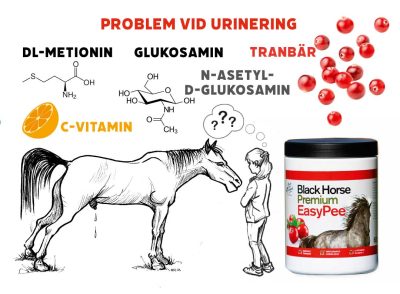 Black Horse Premium EasyPee