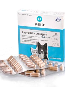 Lypromax Collagen