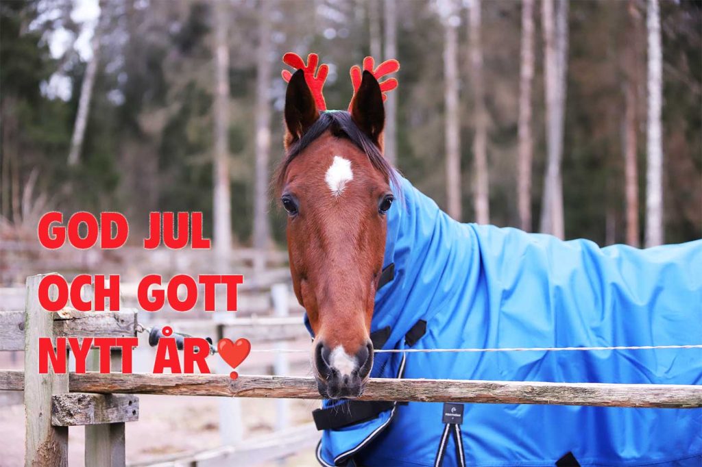 God jul och gott nytt år
