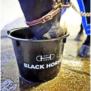 Häst dricker ur en svart Black Horse hink